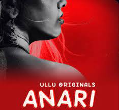 Anari Part 1 (2023) Season 1 Hindi