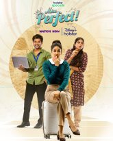 Miss Perfect (2024) S01 Dual Audio [Bengali-Hindi]